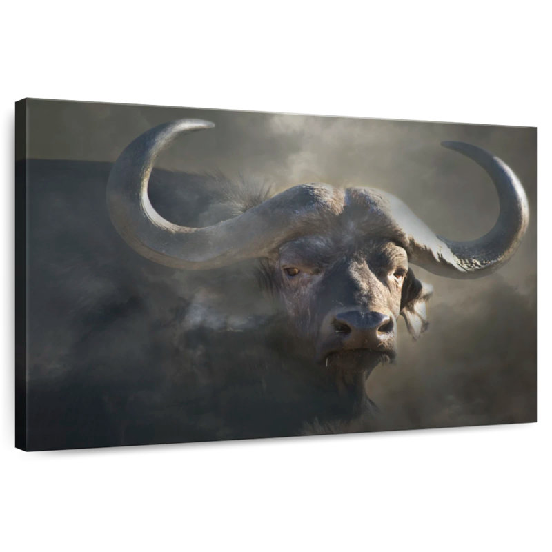 Brampt Cape Buffalo