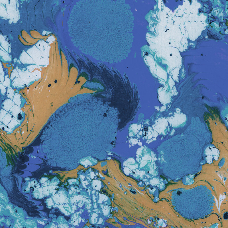 Wallpaper Double Roll, Tidepool, Paper