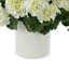 UV Protected Geranium Arrangement-2871870-2871871