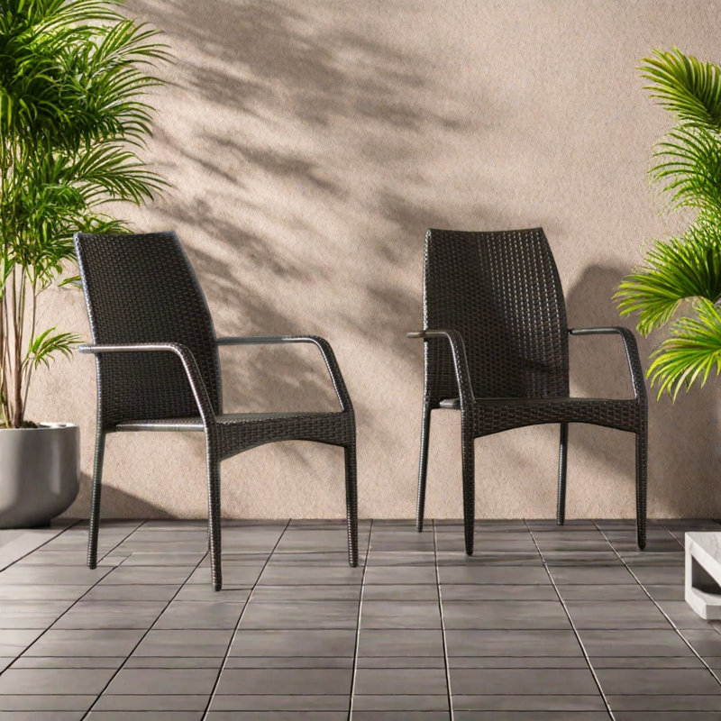 Ensemble de 2 chaises d'extérieur en osier