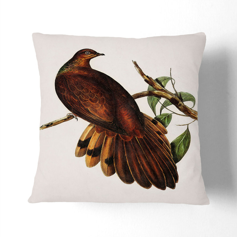 Pheasant-Tailed Pigeon by Elizabeth Gould Cushion with Filling, 55cm H x 55cm W x 20cm D