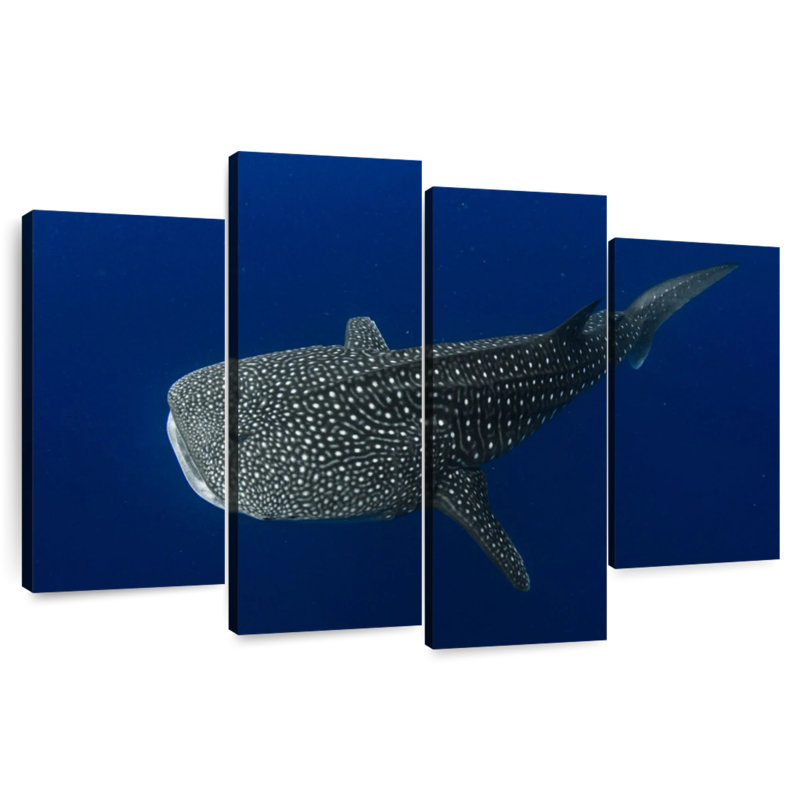 Brampt Whale Shark In Deep Blue Water, 42" H x 68" W