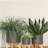 5" PLANTER W/ WOOD STAND, MATTE GRAY-667286982