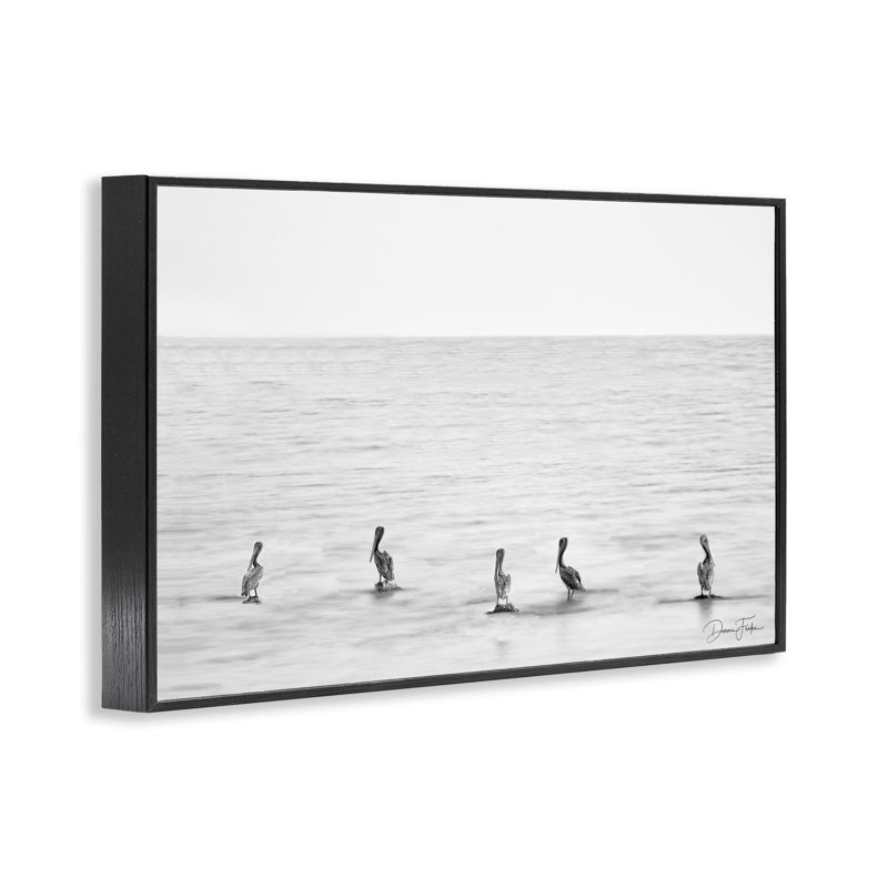 Pelicans on Shore, art de la giclée encadrée par Dennis Frates, Giclée encadrée noir minuit, H 12 po x l 18 po