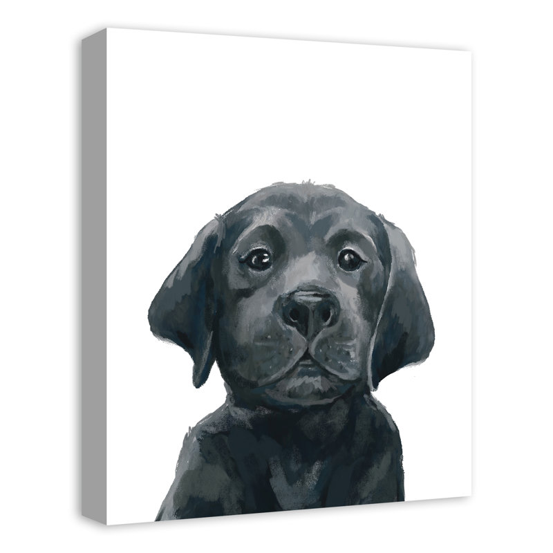 «Black Lab Puppy», reproduction sur toile, H 20 po x l 16 po