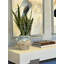 Snake Plant Arranged in Stone Vase