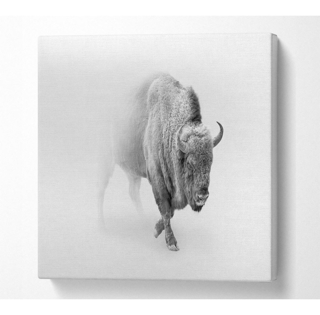 Bison In The Mist - Kunstdrucke auf Leinwand