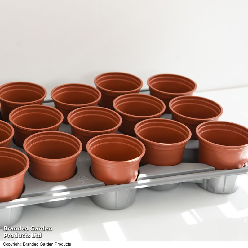Pot Planter
