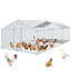 Poulailler avec couloir Davisha Walk In-88658565