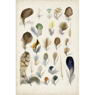 Plumes d'oiseaux antiques II - peinture sur toile tendue