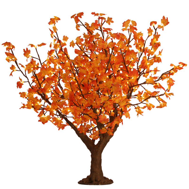 Érable illuminé et branches, Orange