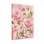 Plantes et fleurs roses sur fond doux