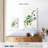 Harnek Clematis Viticella-108472977