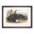 Walnut Framed