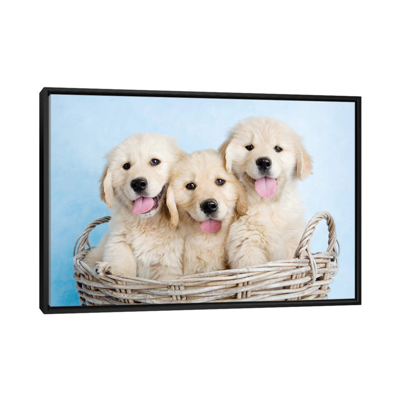 Buffy, Biskit, and Beau 1 Piece Wall Art on Canvas, 152.5 cm H x 101.5 cm W, Black Framed
