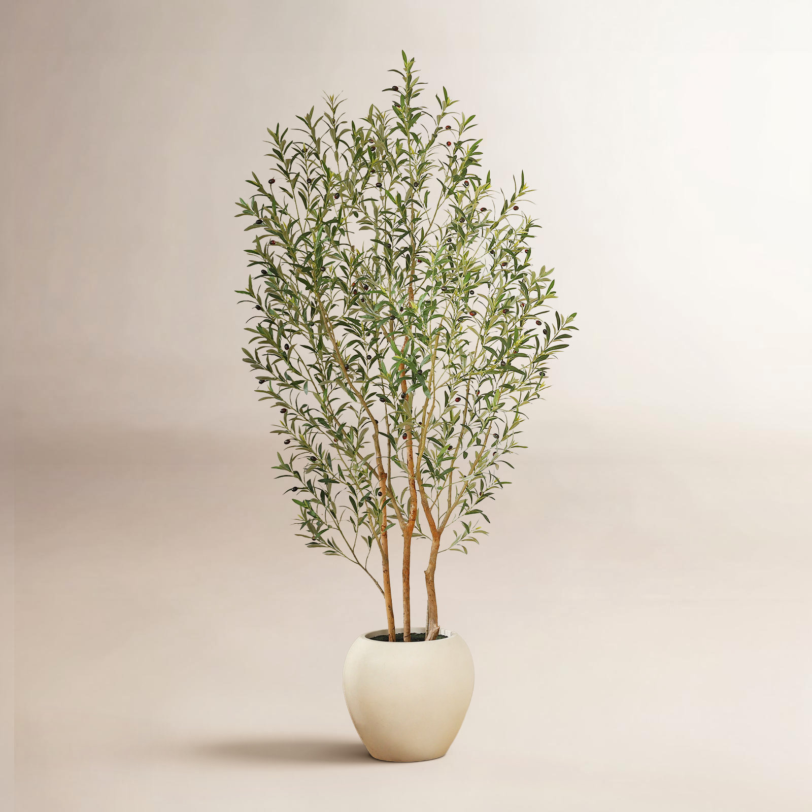 George 96" Olive Tree in Planter