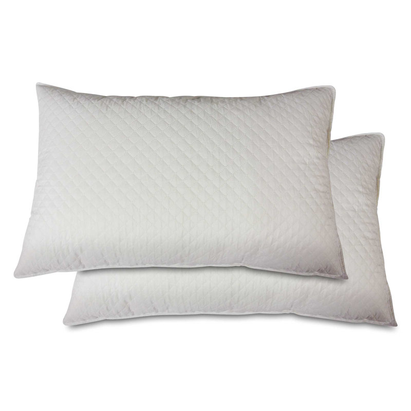 Pair of Memory Flake Pillows Spring