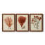Antique Red Coral IV - Ensemble de 3 peintures sur toile encadrées-1301298118-1301298112