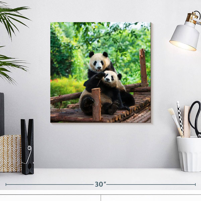 Crowle Panda Twins, 16" H x 16" W