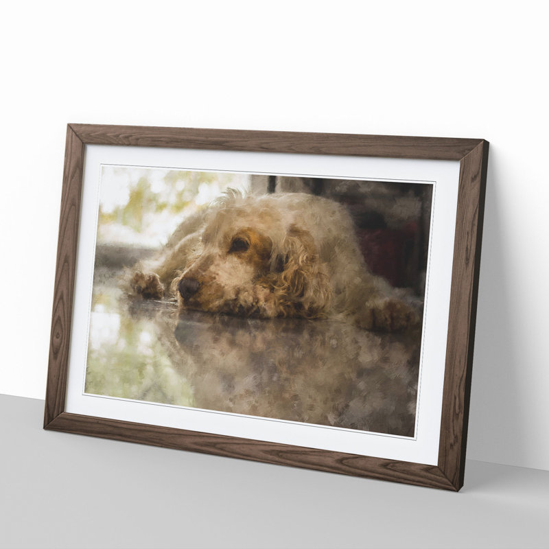 Cocker Spaniel Dog - Picture Frame Graphic Art, Walnut Framed, 27cm H x 36cm W x 2cm D
