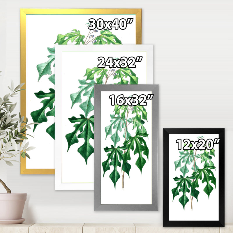 Feuilles de plantes II - reproduction d'art sur toile, H 32 po x l 16 po x P 1 po, Noir