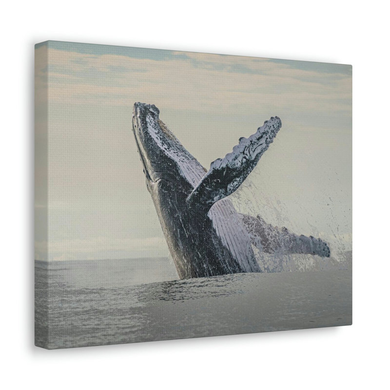 No Frame Print on Canvas, 30.48cm H x 40.64cm W