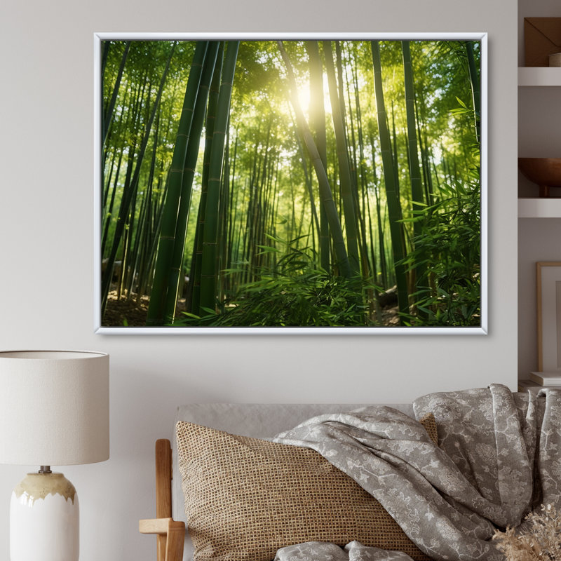 «Dynamic Light Bamboo Grove II» sur toile, Cadre flottant blanc, H 12 po x l 20 po x P 1 po