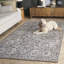 Tapis performance d'automne 505-1758384521