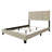 Lipsey Upholstered Panel Bed-690434666-690434659