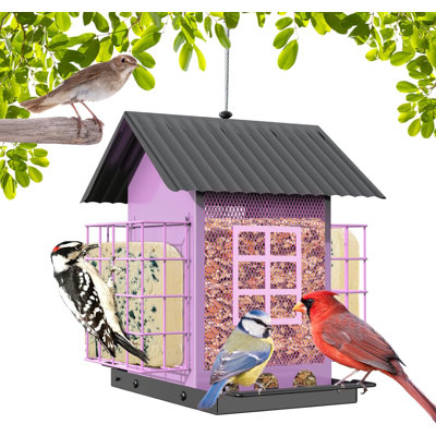 Bird Feeders For Outdoors HangingRed