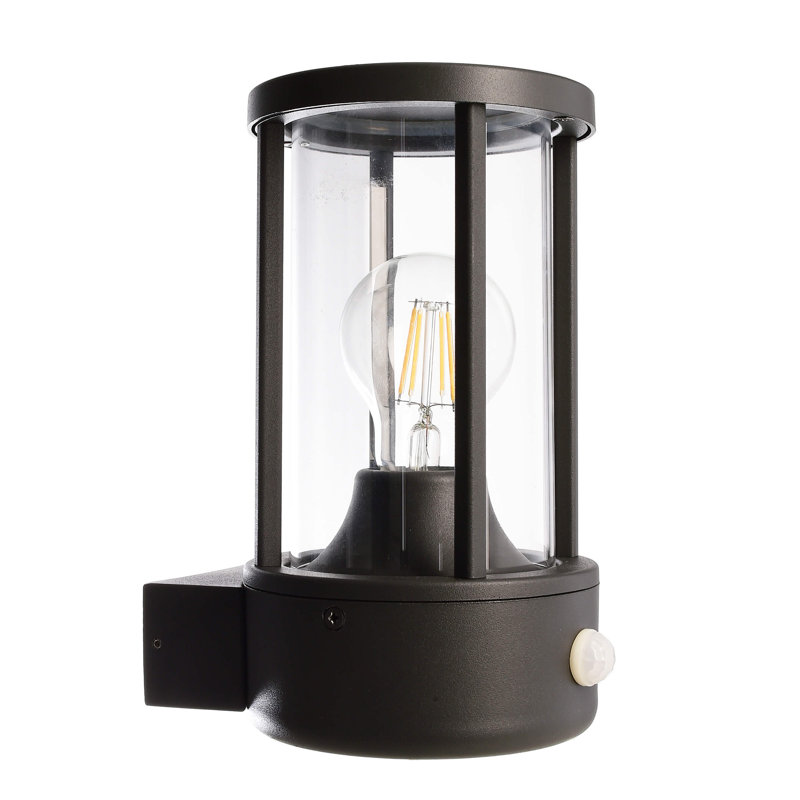 Adebar Anthracite Outdoor Wall Lantern with Dusk to Dawn