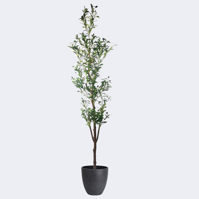 Pots ronds en résine d'olivier artificiel de type A avec plateau, H 15,75 po x l 82,68 po x P 15,75 po, Noir
