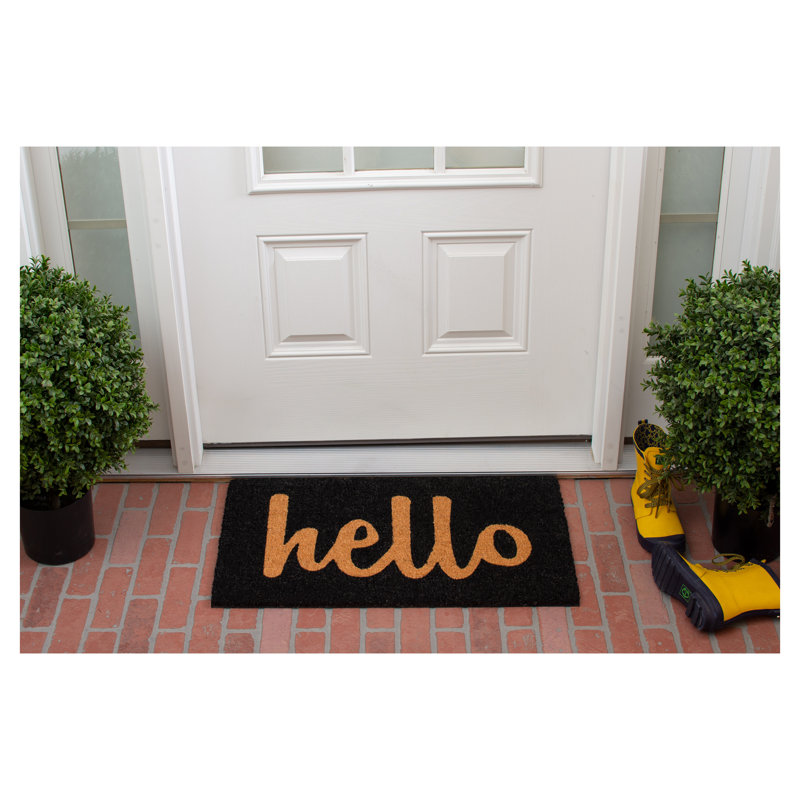 Carlaysia Non-Slip Outdoor Doormat, Rectangle 2' x 3', Black
