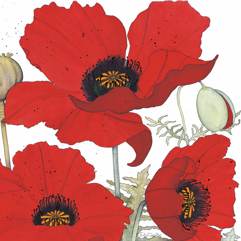 Ensemble de housse de couette en microfibre DiaNoche par Judith Figuiere - 3 coquelicots rouges