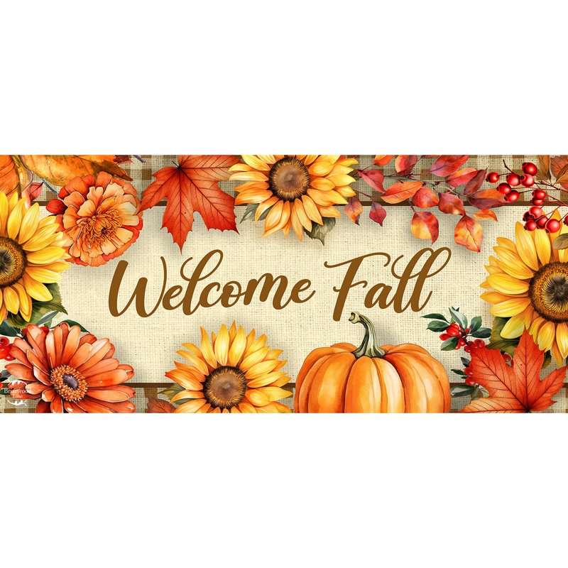 Mini tapis Welcome, L 10 po x L 22 po