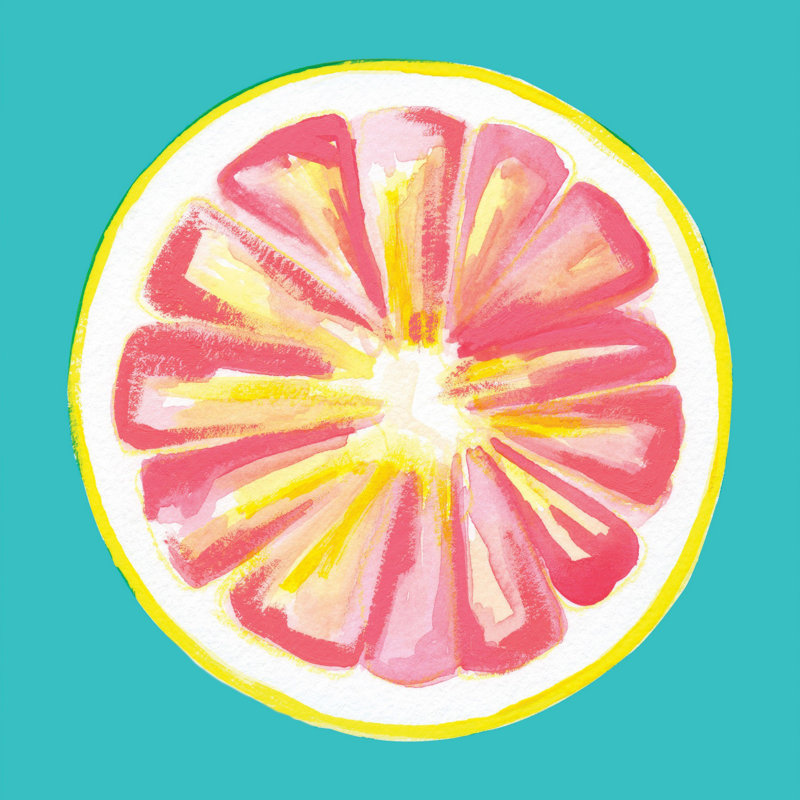« pamplemousse » par molly rosner, reproduction d’art sur toile tendue, H 48 po x l 48 po