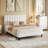 Full Size Bed Frame, Velvet Upholstered Platform Bed with Adjustable Tufted Headboard, No Box Spring Needed, Easy Assembly, White-124010590-124010591