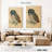 Brampt The Little Owl-108445368