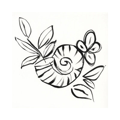 Shell Scrawl I by Jennifer Goldberger - Wrapped Canvas Painting