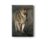 Morning Walk in Masai Mara - Photographie sur toile tendue-1596015591