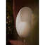 Nautilus Shell Small (White)-1567939957