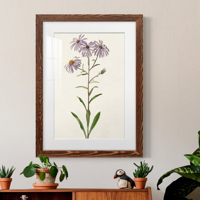 Mauve Garden Flowers III - peinture encadrée