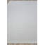 Kashmir Area Rug in Ivory-67462312
