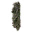 Collection de sapin Douglas artificiel givré-756955070