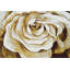Tapis beige à motif floral Viera-548373318