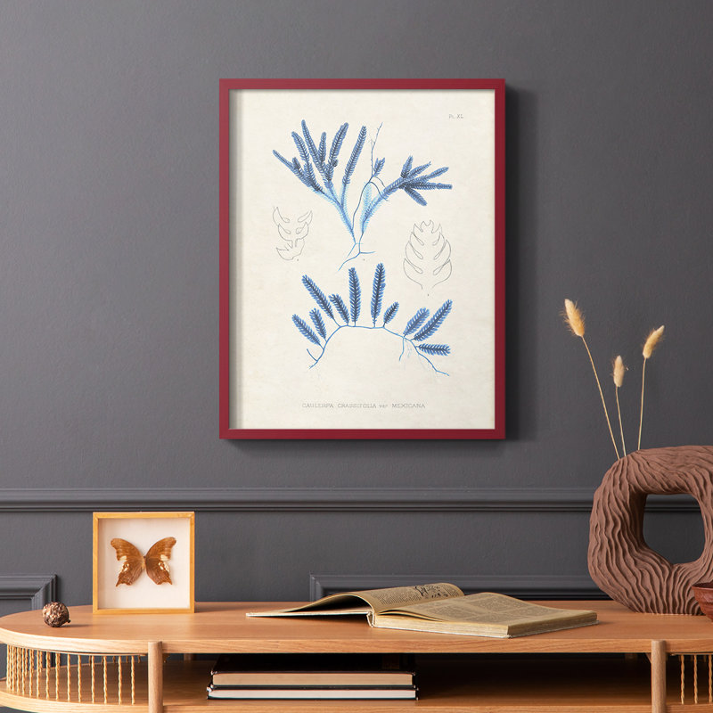 Marine Algae I, reproduction encadrée - bois massif, Rouge, H 10 po x l 8 po