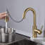 Robinet de cuisine à poignée simple avec accessoires Luxe-116826376