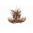 Whitson 9 - Light Brown Antler Chandelier