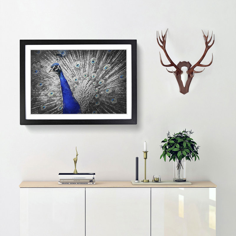 Peacock with Its Feathers Spread - Picture Frame Graphic Art Print, 36cm H x 48cm W x 2cm D, Black Framed