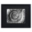 « amonita 2 » par moises, reproduction de photo encadrée-40373136-15821984